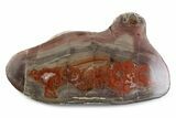 Polished Devil's Red Agate Slab - TeePee Canyon, South Dakota #373412-1
